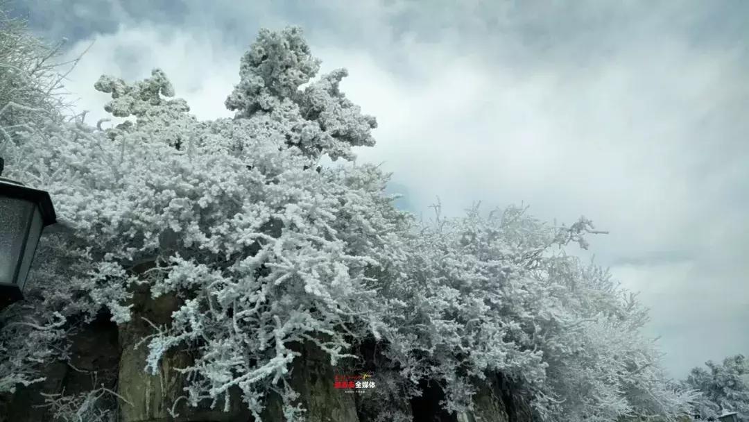 此刻泰山成了雪国,美到无言!高清美图来袭,“雪国的列车”即刻发车!