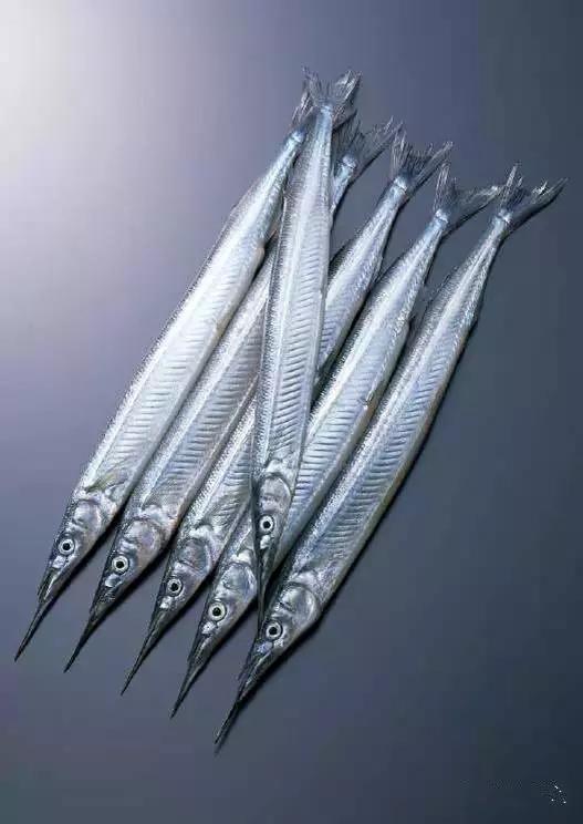 渔民海鲜大全,渔民整理的海鲜河鲜大全