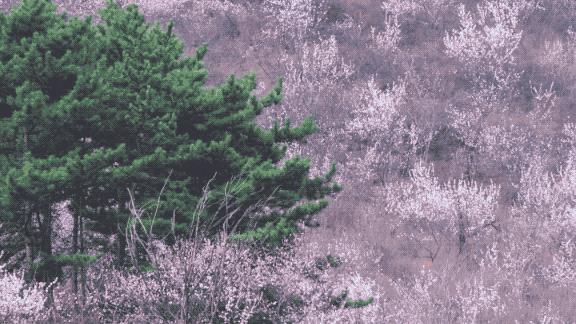 疫情解封后报复性消费的行业,疫情之后会出现消费狂潮么