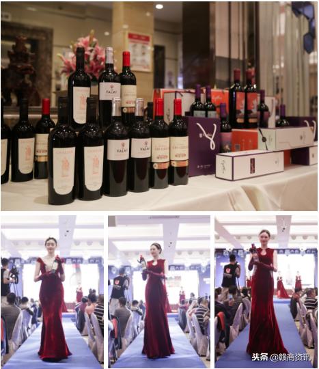 芳华五载,芳华五载筑梦未来