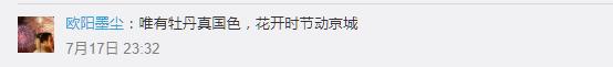牡丹竟然不是国花？2019花界“宫斗大戏”你站谁？