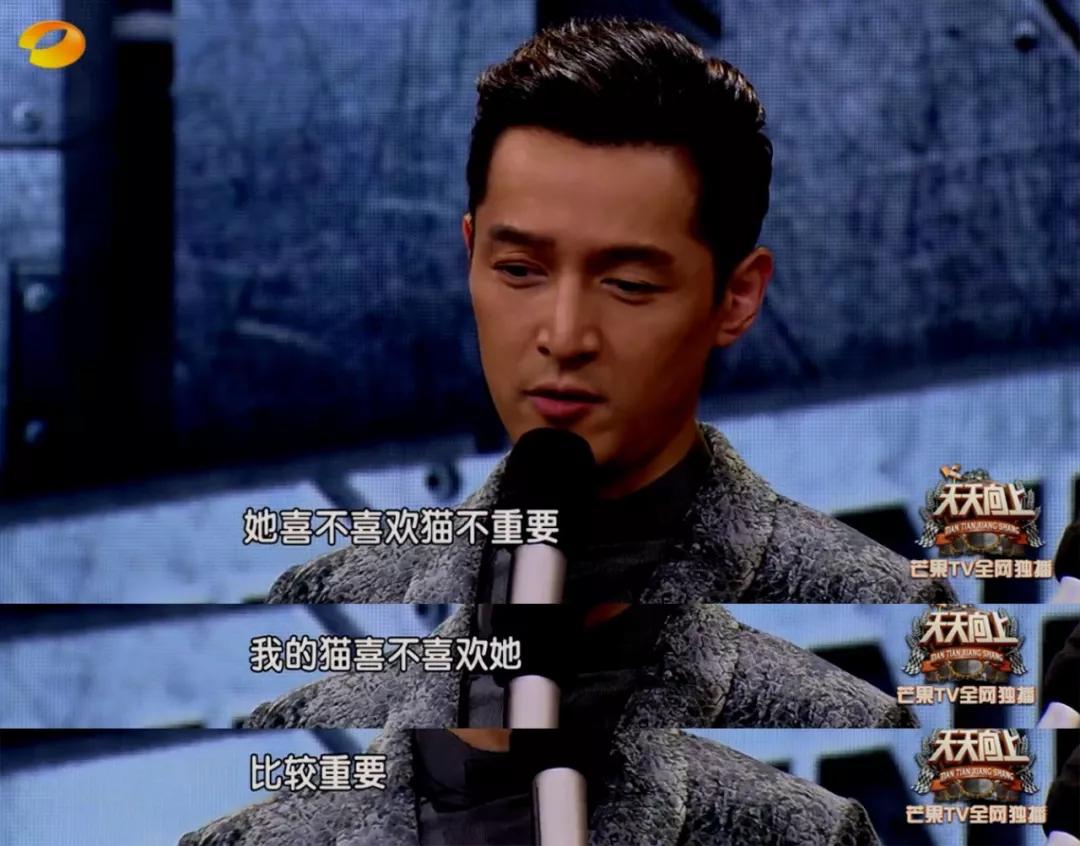 千万不要和对象一起养猫,为什么不能和养猫的男生谈恋爱