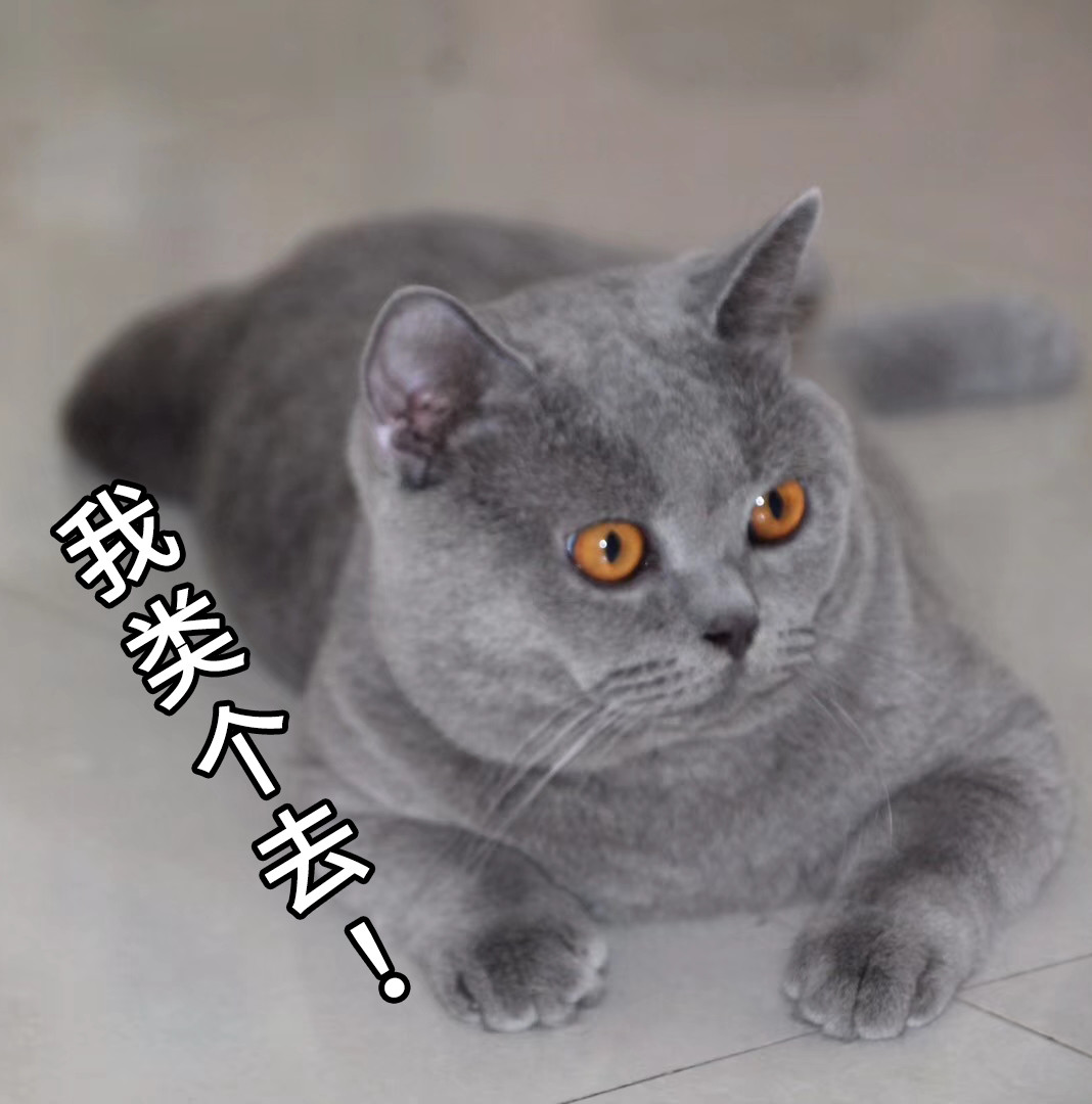 股市的三大博弈关系,股市三大危机