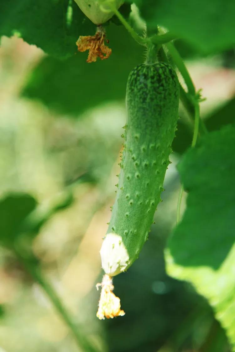 尼康入门单反,单反快速入门攻略