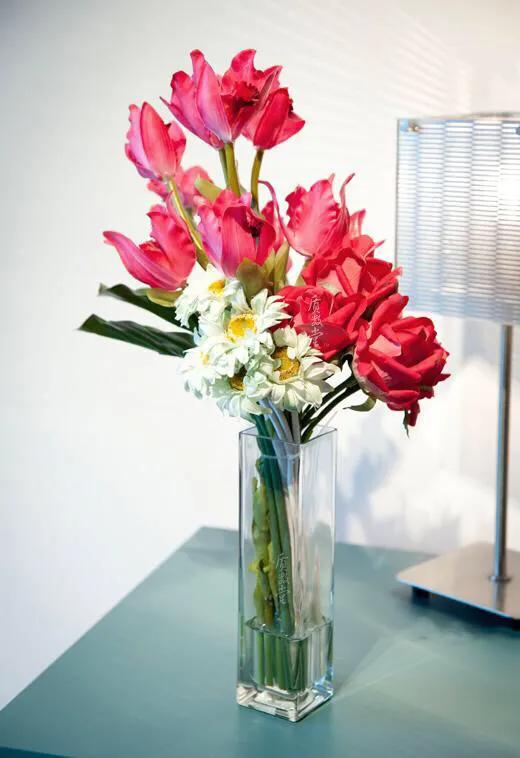 逆风飞扬向阳而生增强生命的韧性,逆风飞扬成就不平凡的人生