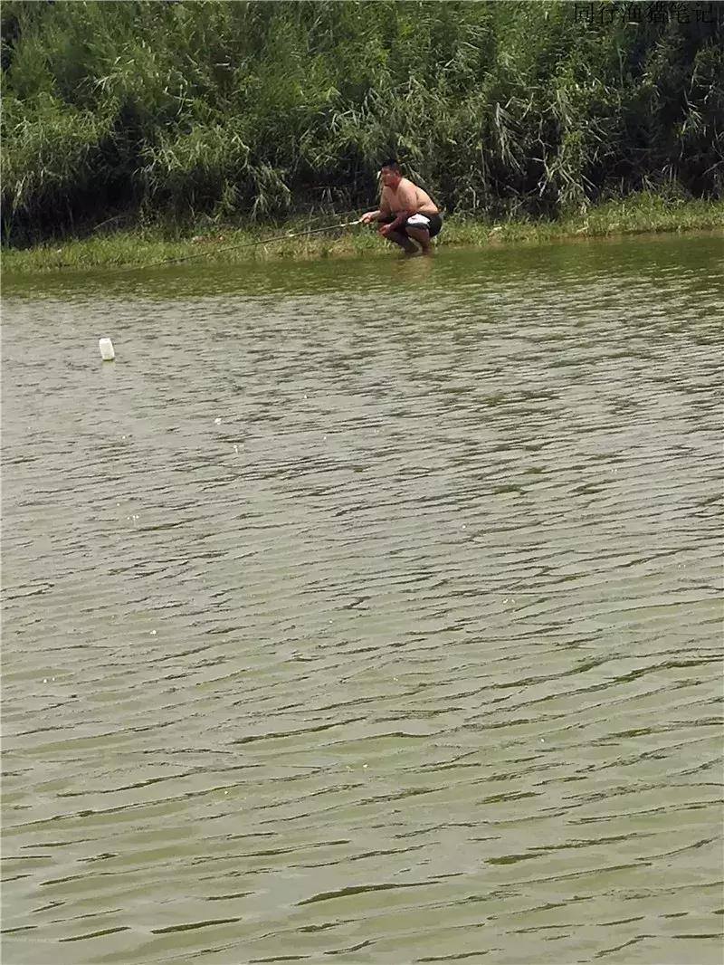 钓鱼日记第19天,钓鱼游钓日记100篇