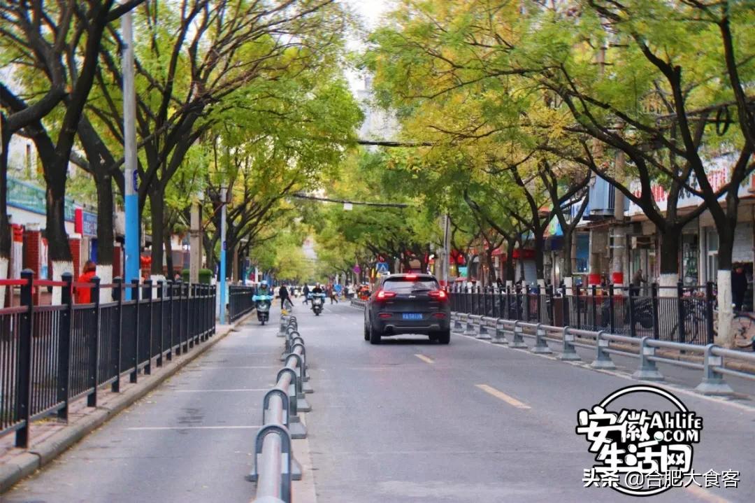 2020年，在这50个地方遇见不一样的合肥