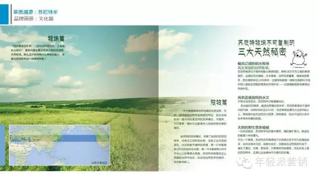 策划案例：好产品卖出高价值？助内蒙古苏尼特羊肉卖出中国最贵羊