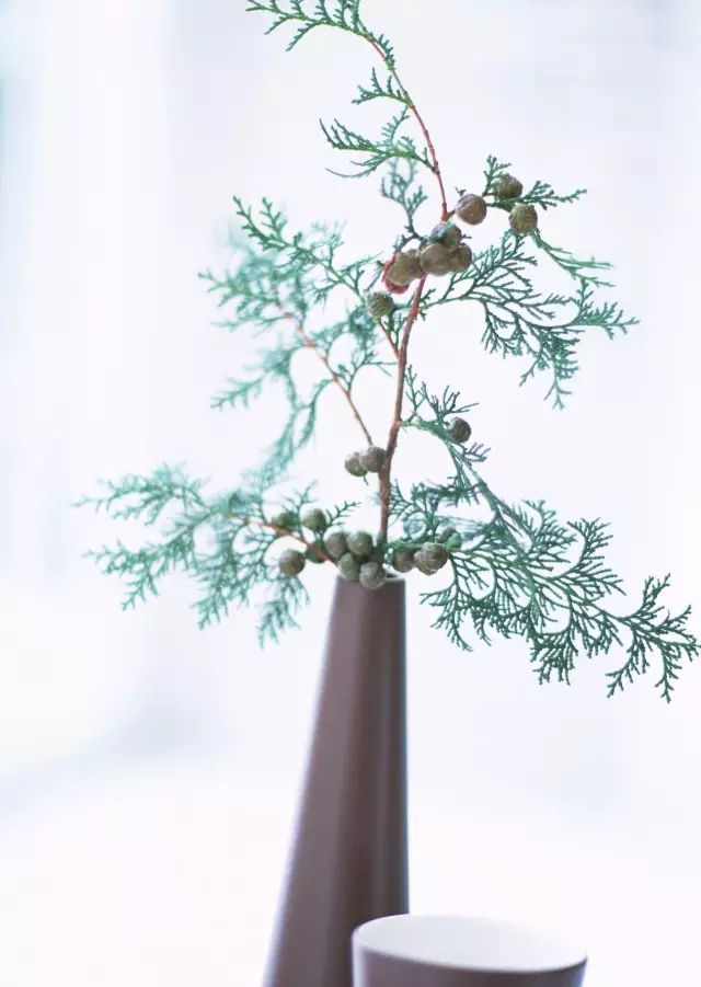 买回来的一束花如何插花,下班路上买一束花然后试着插花