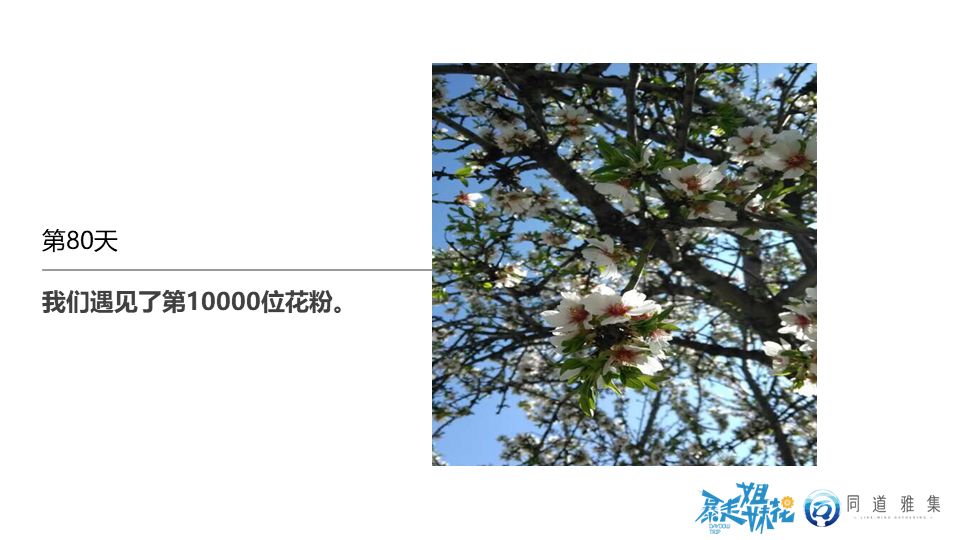 暴走姐妹花庞倩怡,暴走姐妹花