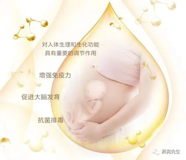 燕窝没有黑毛是好燕窝还是差燕窝,燕窝怎么选你真的了解燕窝吗