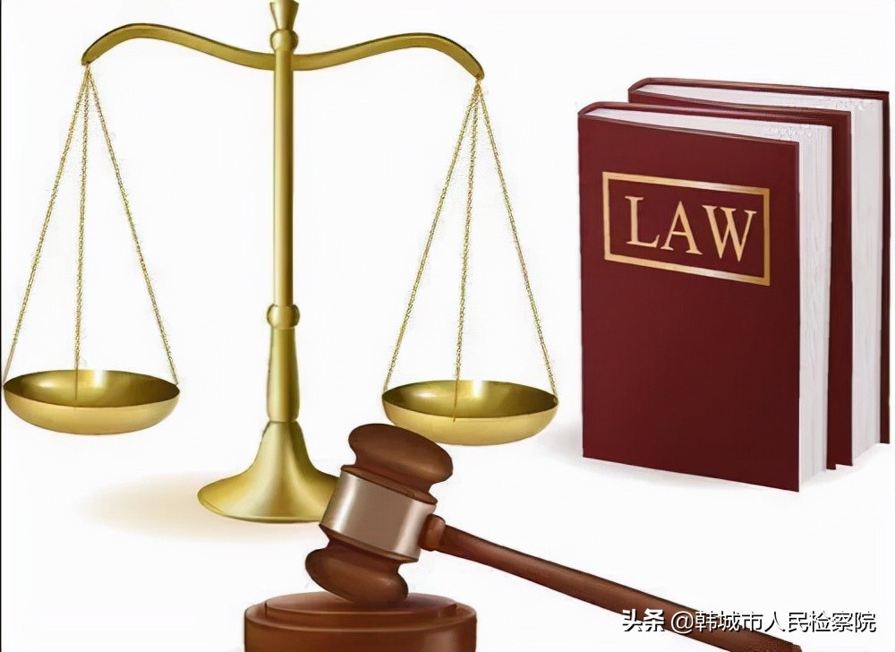 民法典有关于养狗的条款吗,养狗不牵绳犯法吗民法典明确了