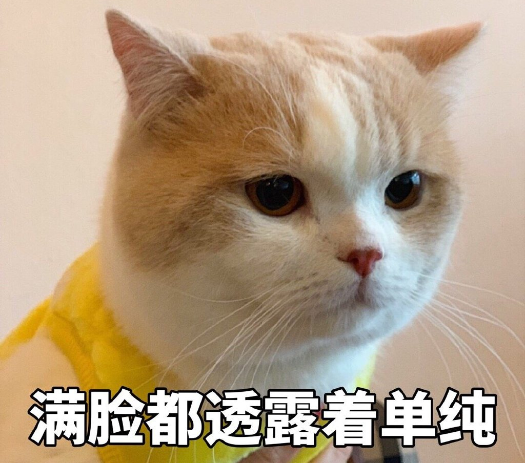 考研最卷的专业,考研最容易考的十个专业