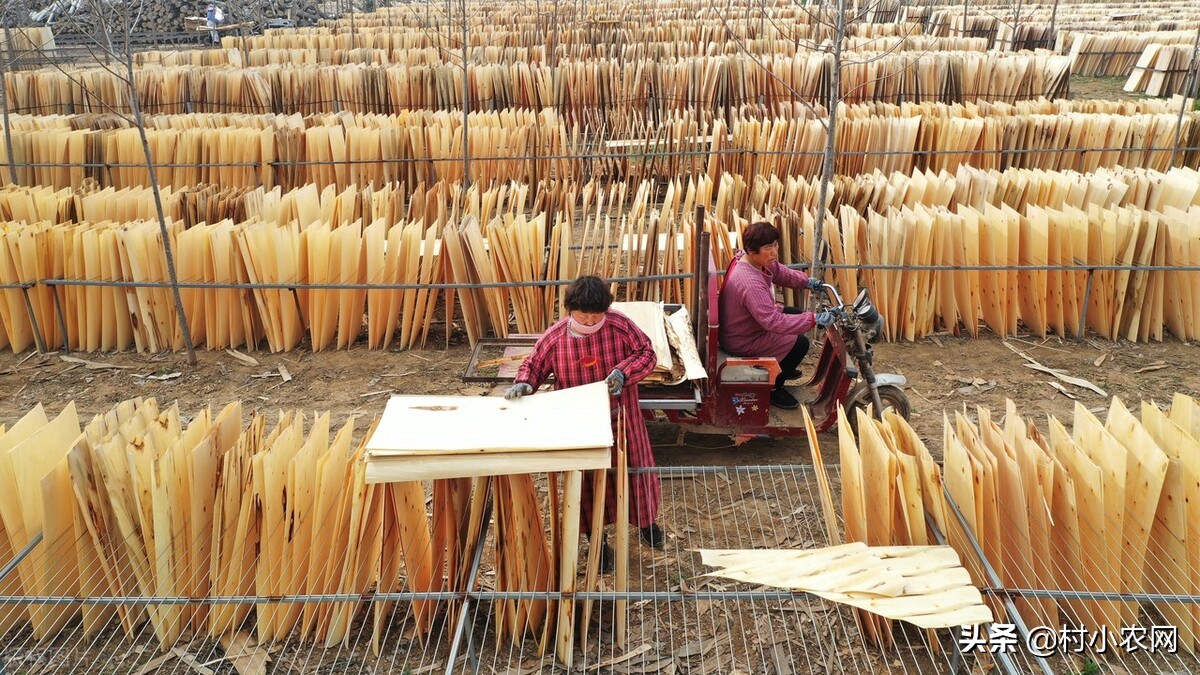 新农村创业适合做的几个生意项目,乡镇致富门路500条免费阅读