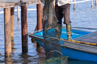 阳澄湖边吃蟹一日游攻略,大通湖金秋品蟹之旅