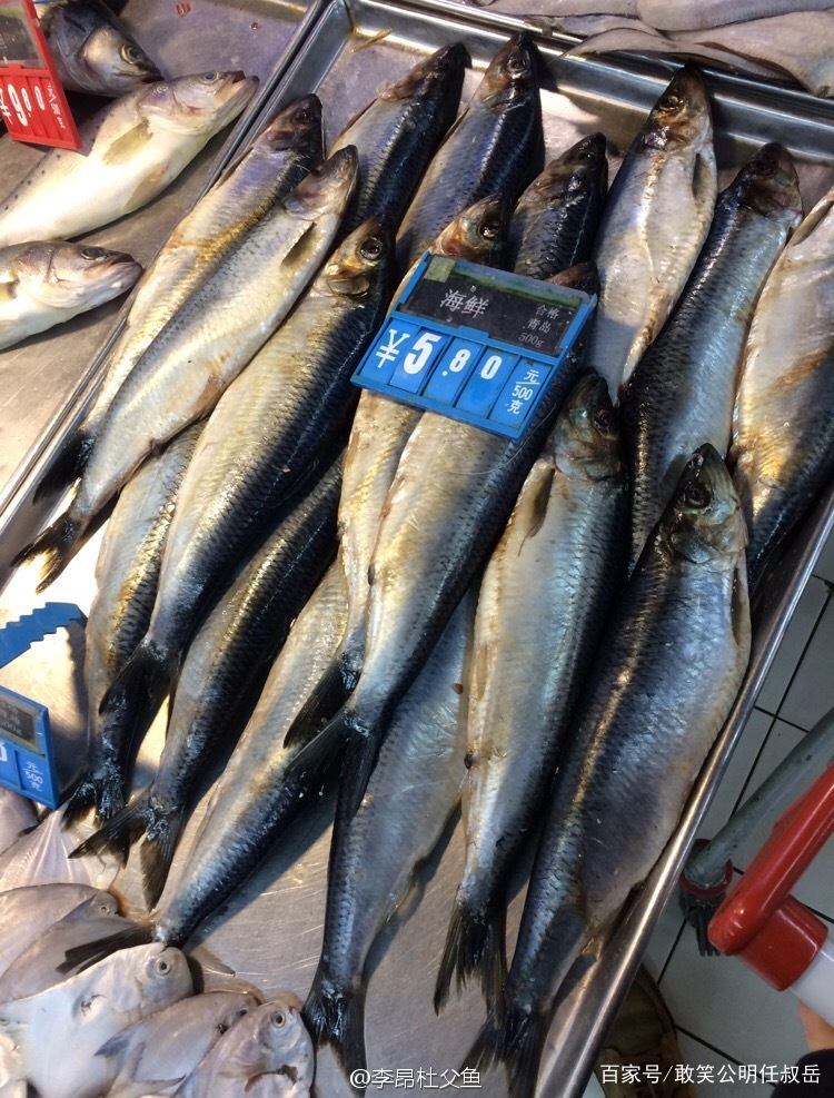 海里的青鱼和湖的青鱼有什么区别,淡水青鱼与海水青鱼