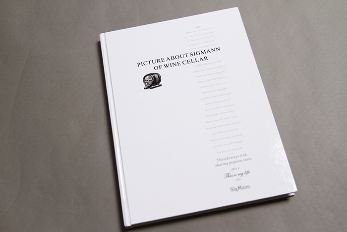 品深全案画册设计为您企业打造超级营销利剑（5）