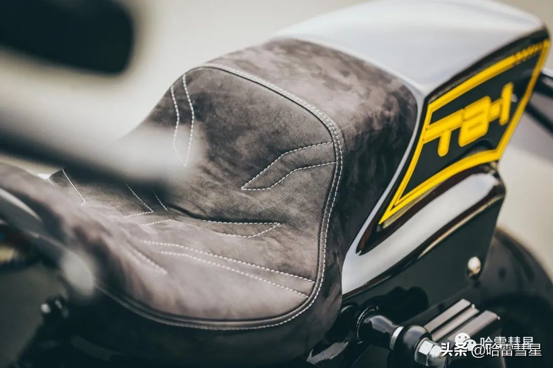 路威s改装匪帮,路威s改装dmr