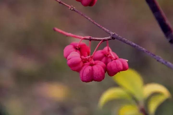 人生遇贵人的经典语录短句,经典语录人生贵人