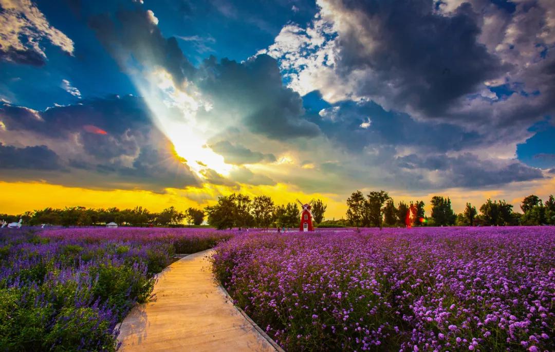 閲戠涓板彴璧忕帺鏀荤暐鍑虹倝,涓板彴閲戠鏂囧寲鏃呮父鏀荤暐