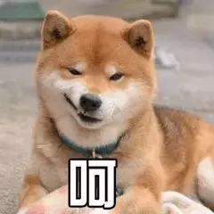 鍋囧啋閽撶閮芥湁鍝簺,閽撶鍗佸ぇ楠楀眬鎻