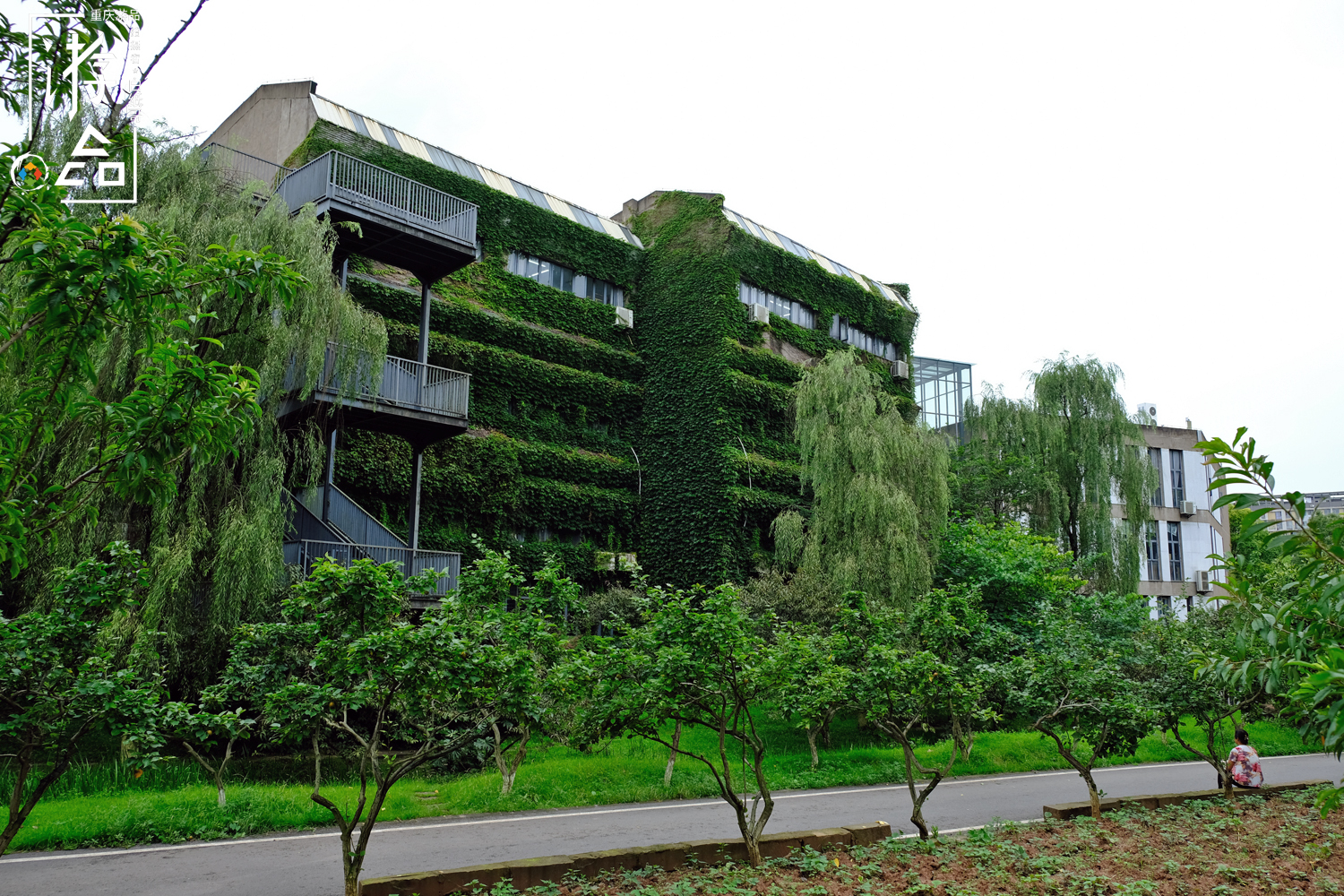 重庆的大学校园风景有多美,重庆川美大学周围有什么玩的