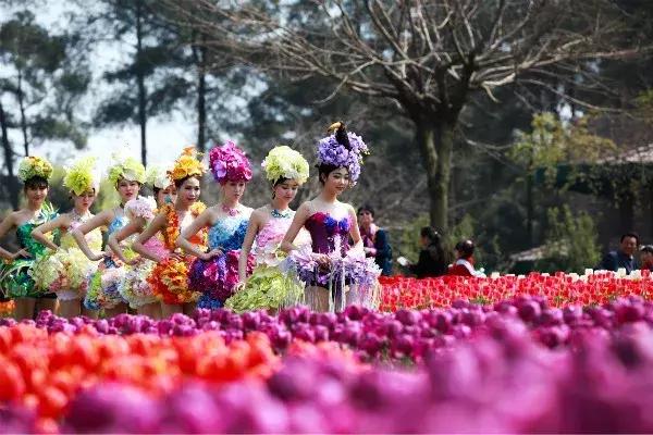 石象湖优惠,石象湖门票免费领取