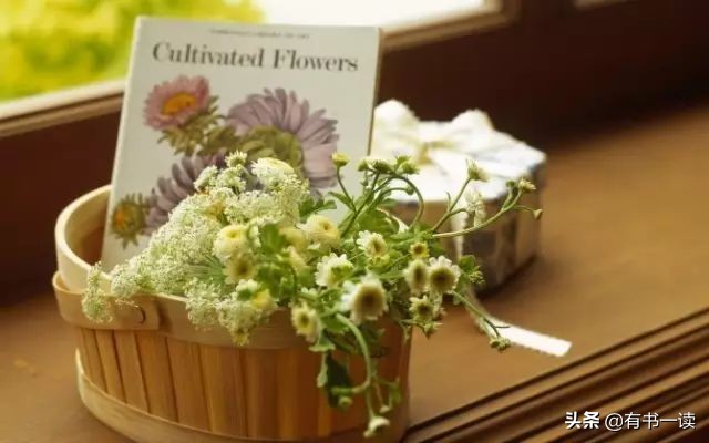 海子经典语录你说你很孤独,你说你很孤独海子原文