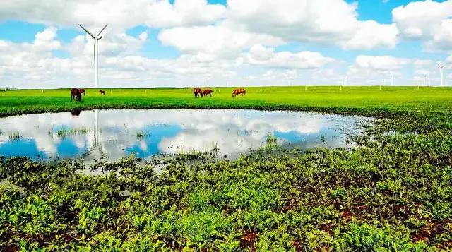 夏日来内蒙古寻觅一处清凉 (去内蒙古感受大草原的浪漫)
