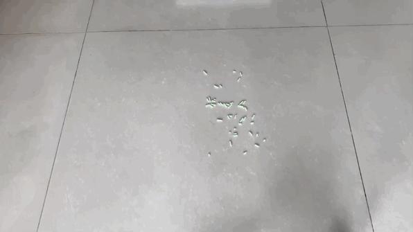 睿米手持无线吸尘器nex评测,睿米吸尘器nex充不进电