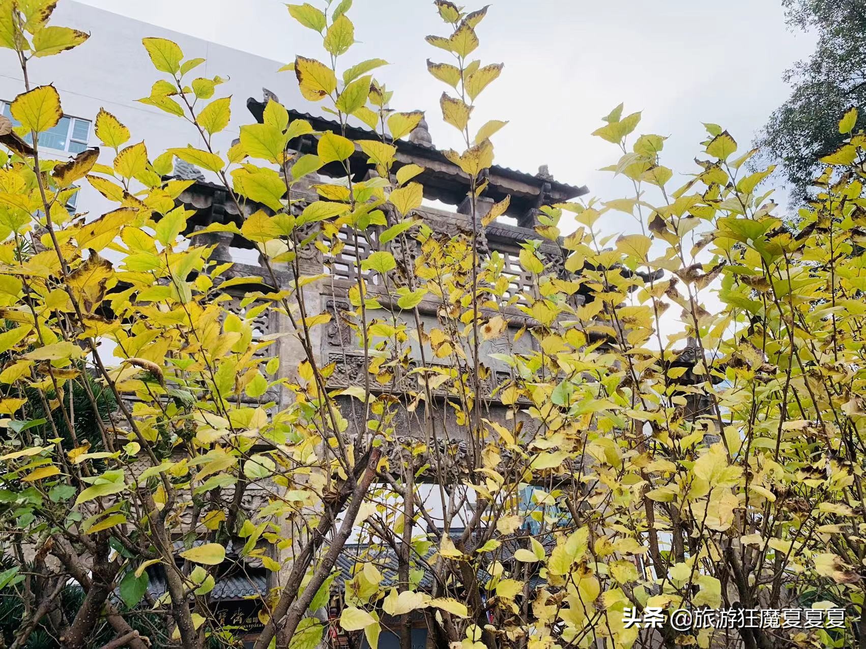 成都荷花池营业额,荷花池一年成交额