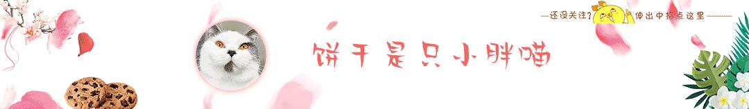 收破烂的大爷捡了一只哈士奇,收破烂的大叔捡到一个小孩