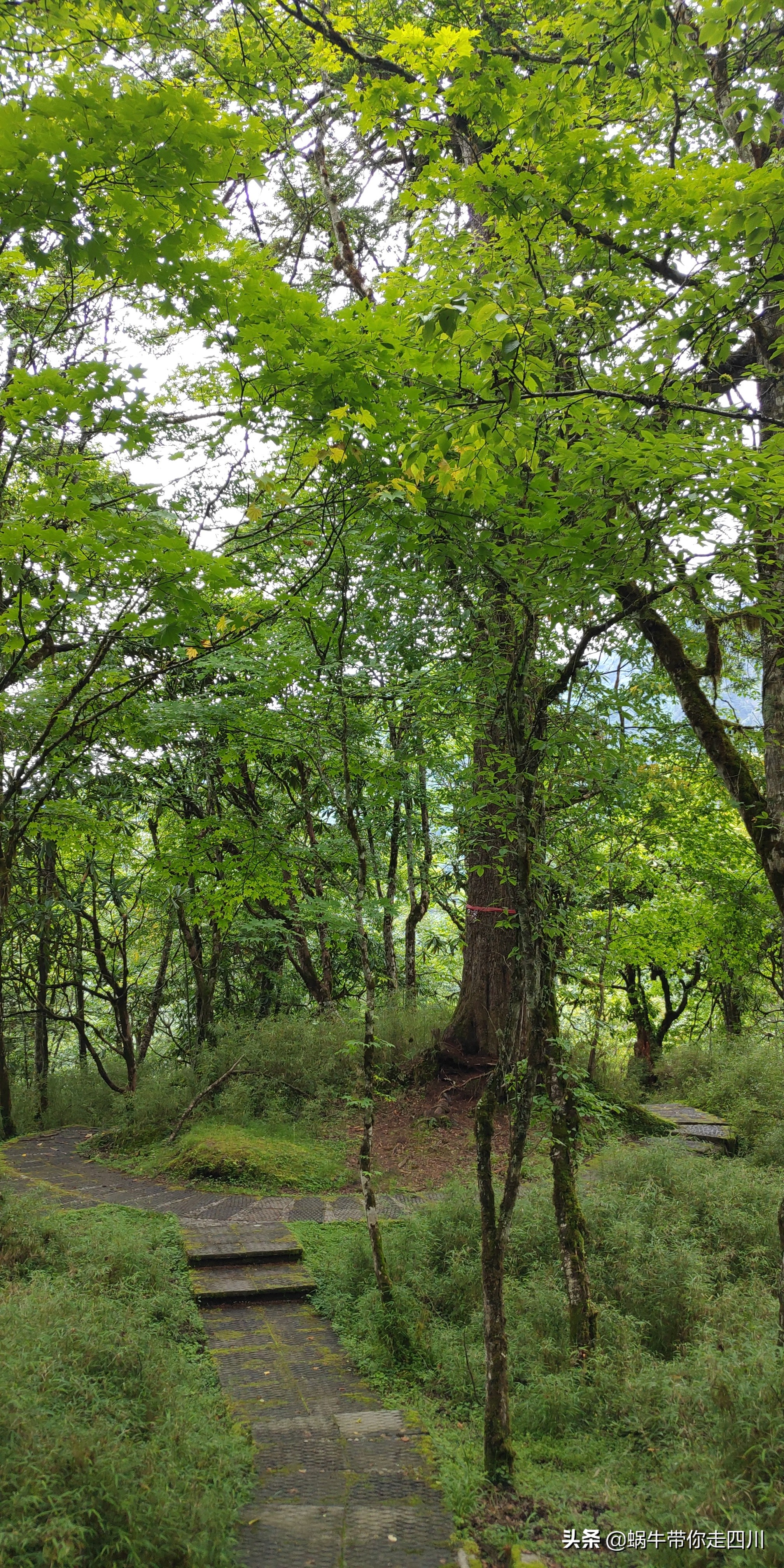 带小朋友出去看小动物,带小孩去海洋动物园