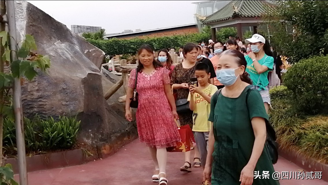 雪宝奶牛场,参观雪兰牛奶工厂心得体会