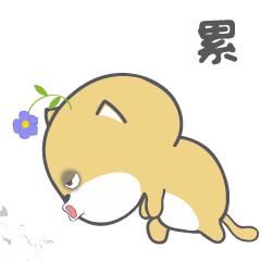 怎么建婚礼群教程,婚礼团队联盟方案