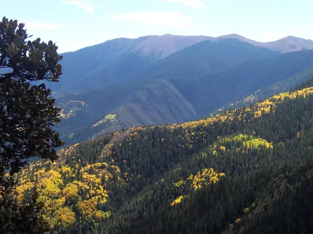 昌都市环境卫生,昌都空气环境排名