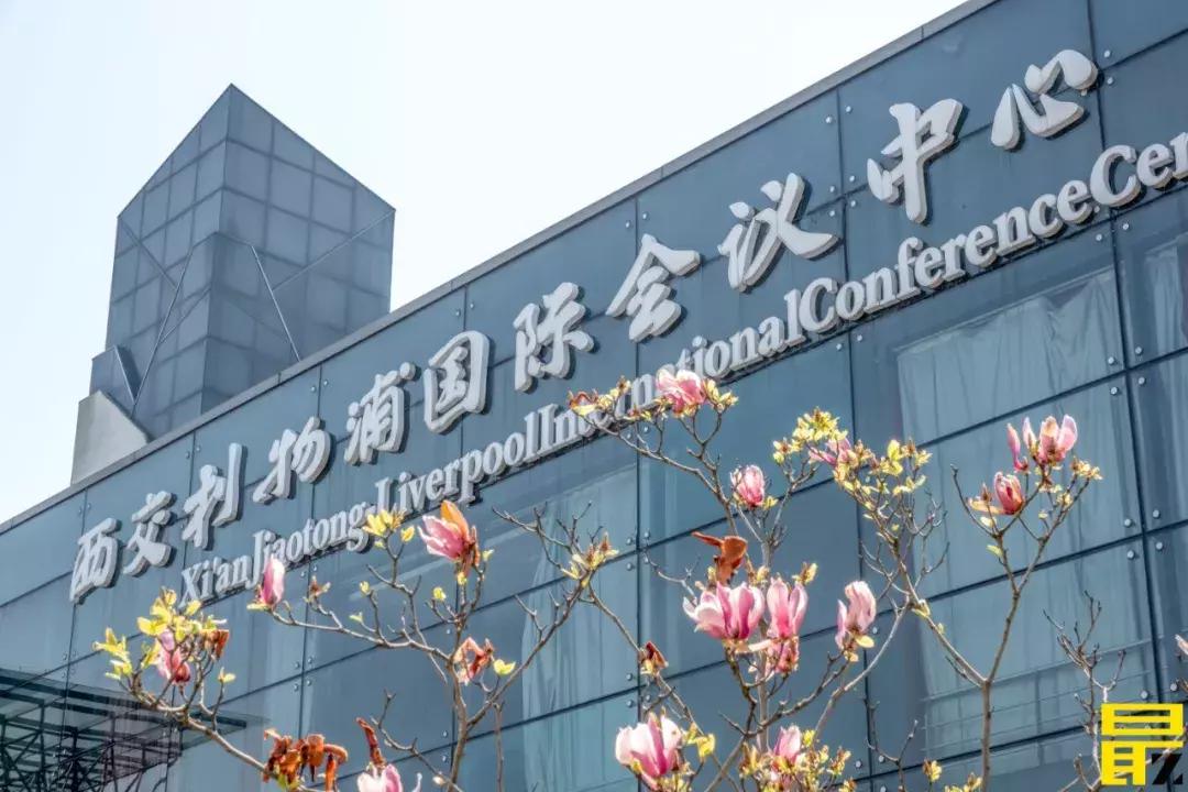 西交利物浦苏州校区,苏州西交利物浦美女