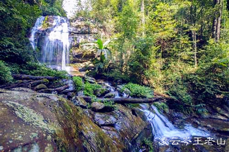 凌云电商节是什么时候,凌云超市年货节
