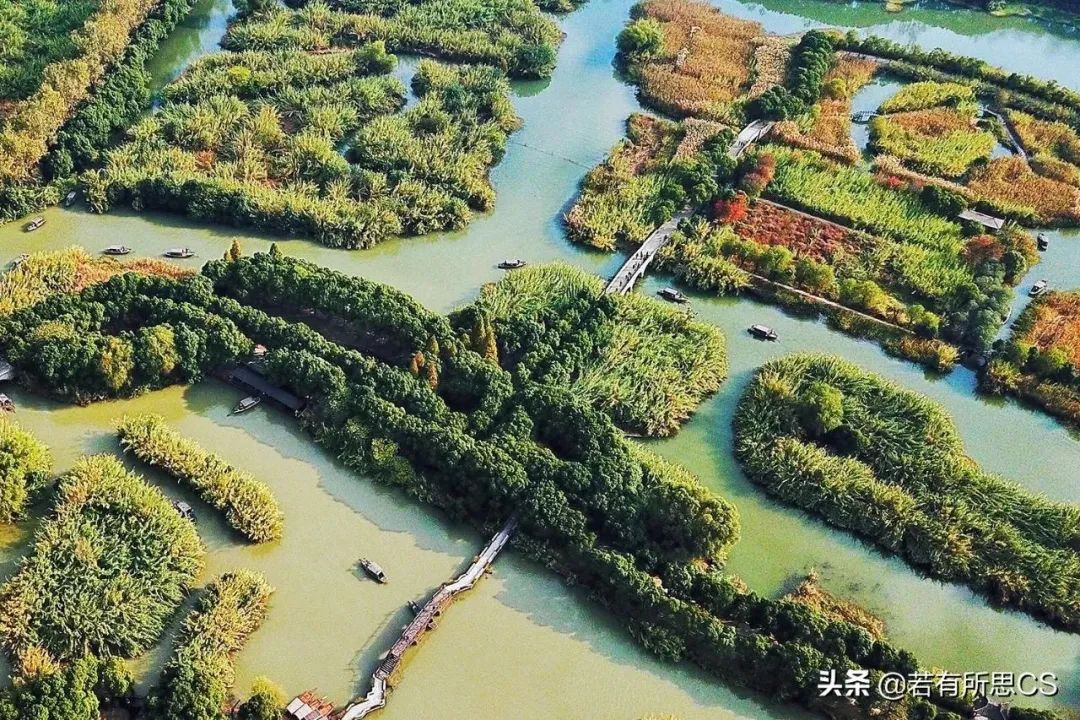 常熟大闸蟹和阳澄湖大闸蟹,沙家浜大闸蟹是阳澄湖大闸蟹吗