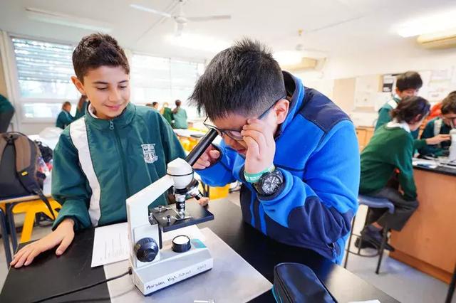 澳洲游学需要什么条件,为什么去澳洲学习