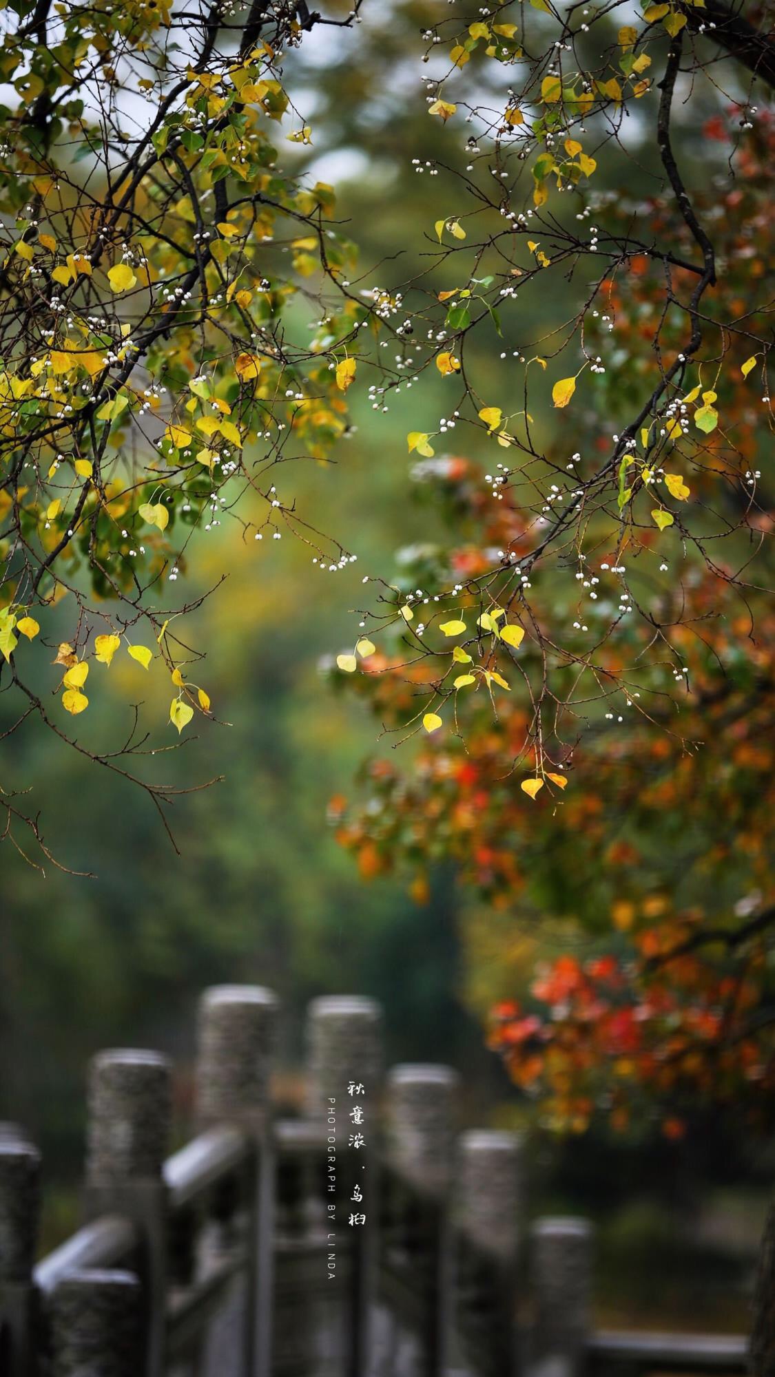 1920超高清手机自然风景壁纸,壁纸超清4k手机壁纸简单干净风景
