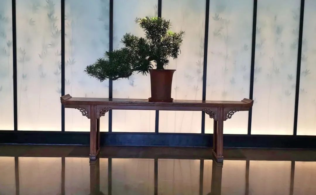 潮州有哪些好玩好吃的,潮州哪些好吃的地方