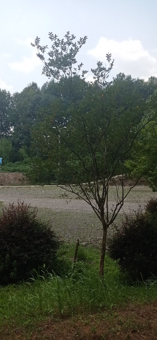 高血压朋友怎样安慰,高血压朋友八件事不能做