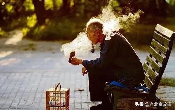 北京花鸟市场老照片,北京旧官园花鸟市场