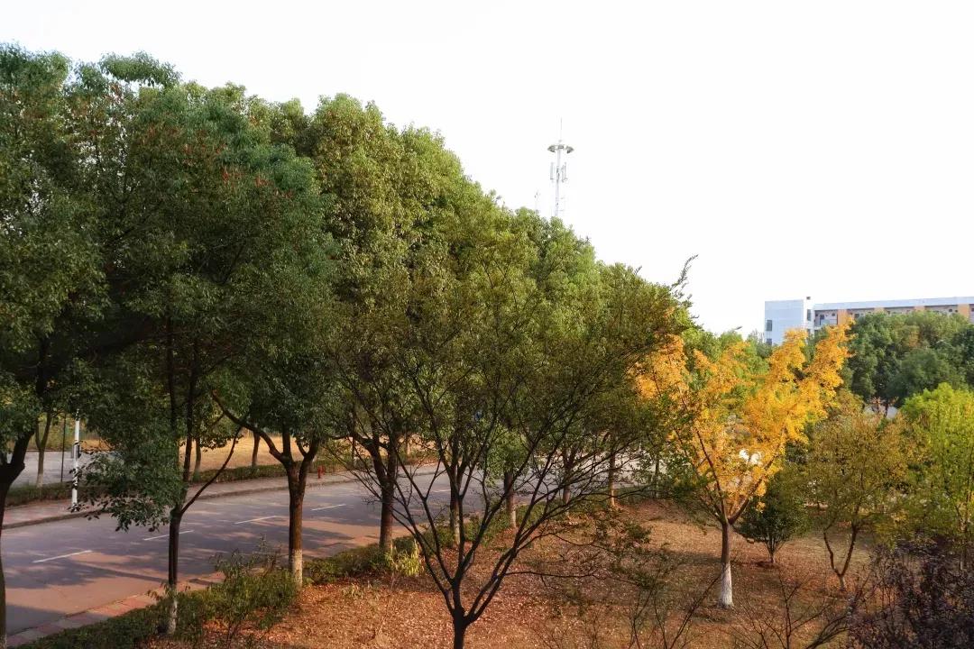 江苏省高校（五十一）南京航空航天大学金城学院