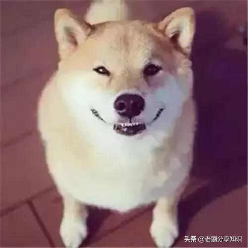 假期里的美食,假期好多好吃的东西