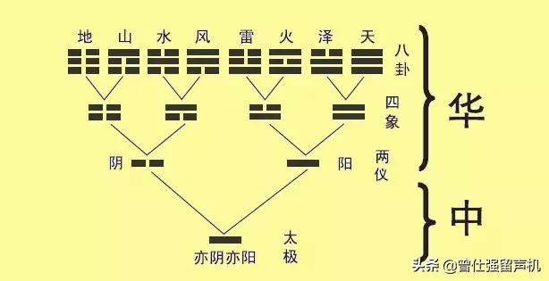 种树精神曾仕强,曾仕强教授老祖宗的智慧不能遗忘