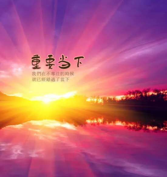 拥抱当下的力量,拥抱当下的力量视频