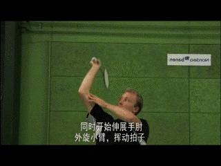 金秋诗画（学羽精华33.发力技巧）