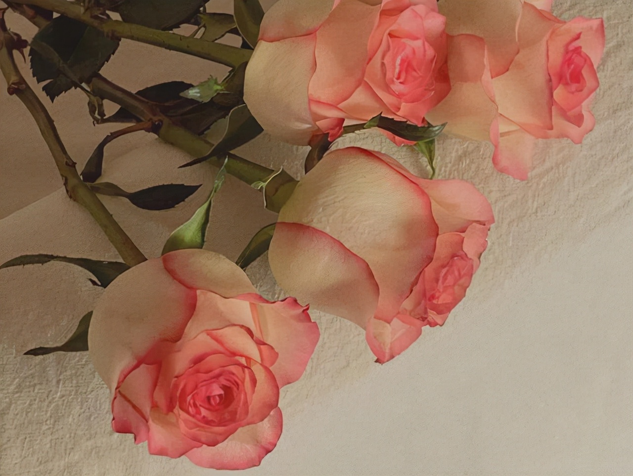 男人对你腻了还会喜欢上你吗,男人对你厌倦了还会再爱你吗